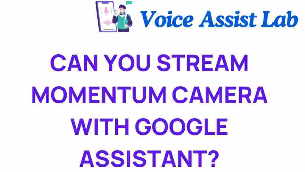 momentum-camera-google-assistant-stream