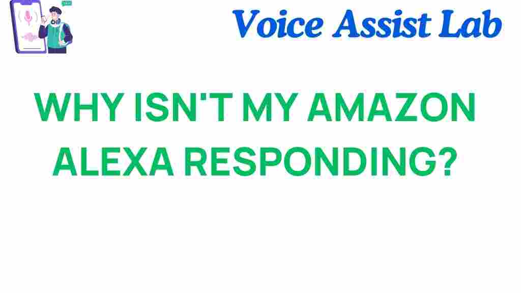 why-isnt-my-amazon-alexa-responding