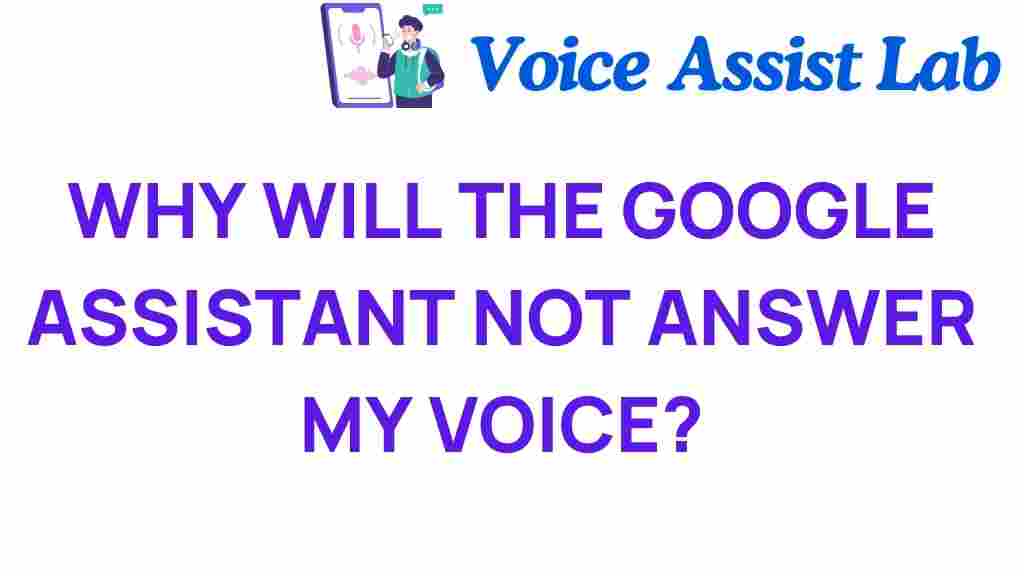 google-assistant-not-answer